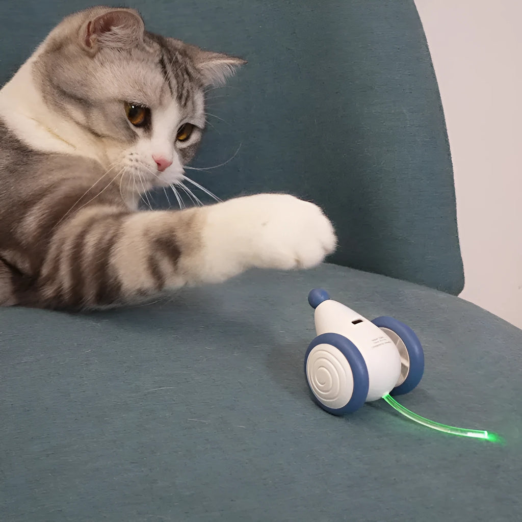 Blue electric cat toy mouse with automatic motion, 60x50x36mm, USB rechargeable, ABS TPU PVC