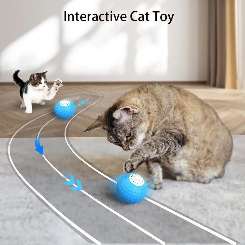 Blue remote control cat toy ball on a wooden floor next to its remote.