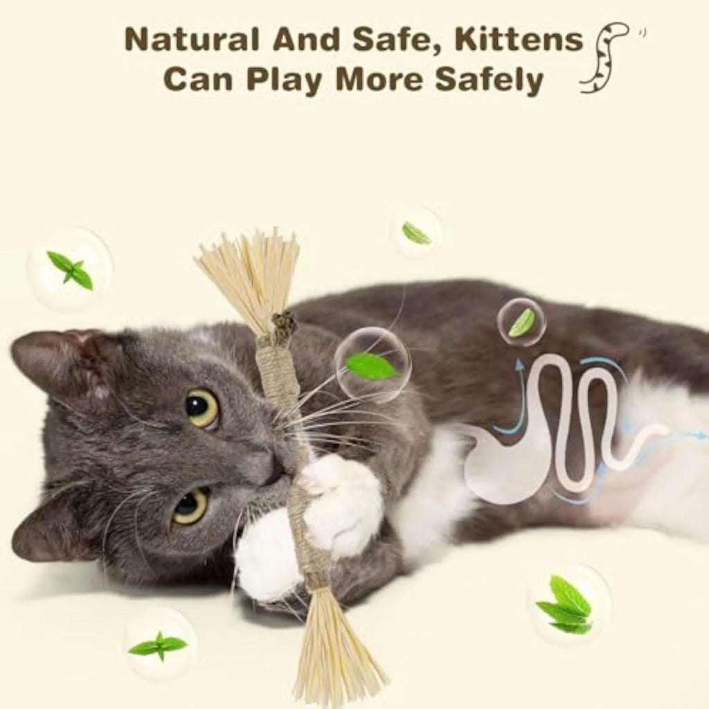 Pack of natural silvervine chew sticks for cats on a wooden surface, showing fine and thick diameter options.