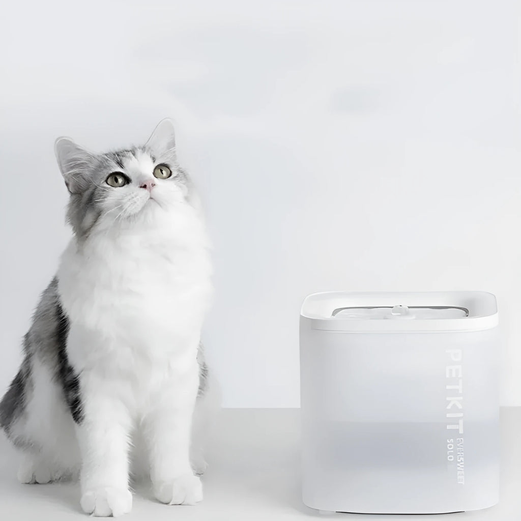 Xiaopei SOLO2 smart pet water dispenser with wireless loop filter system for dogs and cats