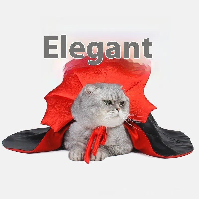 Black and red Halloween costume for cat or dog with European styling on pet mannequin