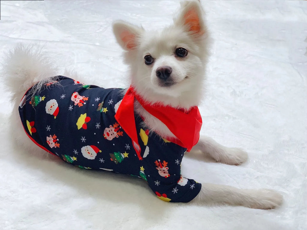 Family wearing matching Christmas pajamas with plaid design, including adults, children and dog in coordinated sleepwear