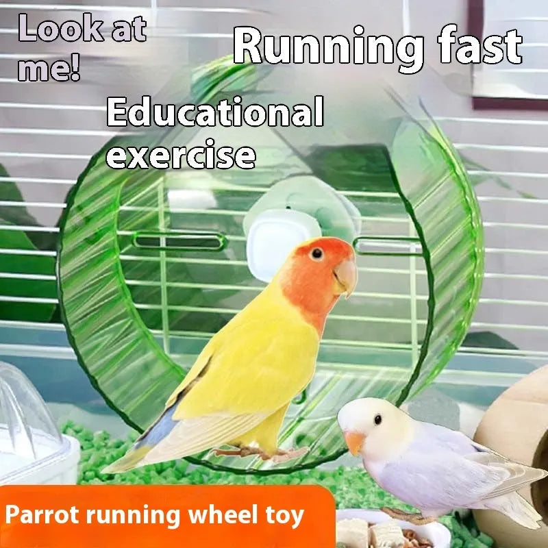 Plastic bird running wheel toy shown in green, available in 17cm and 21cm sizes.