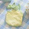 Small dog wearing a blue elastic vest with a heart texture pattern and bow suspenders.