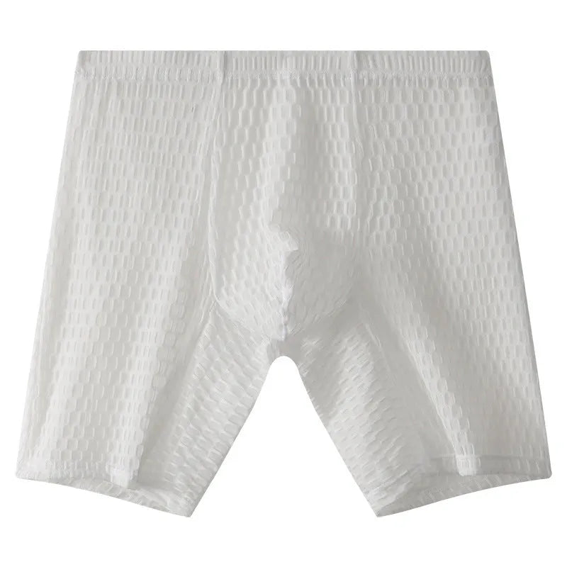 Men's lengthened lace boxer shorts in transparent nylon construction showing shaping design