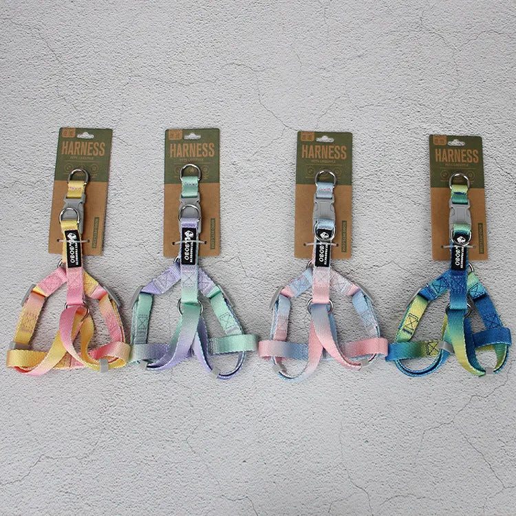 Gradient colour nylon dog lead and adjustable chest harness set for small or medium dogs.