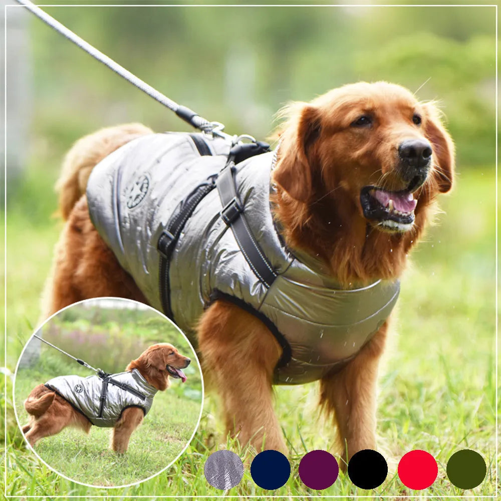 Red waterproof dog coat with a harness hole on a dog, showing the water-resistant fabric and size fit.