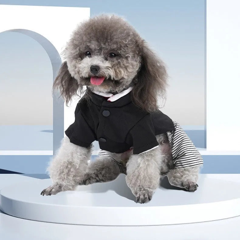 Poodle dog clothes in cotton fabric showing four-foot pants and skirt style options