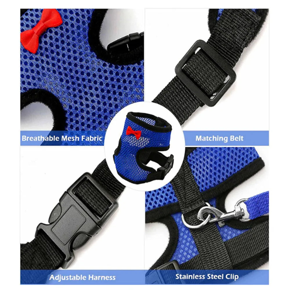 Chicken harness vest with matching collar and bow for poultry, includes 110cm traction rope