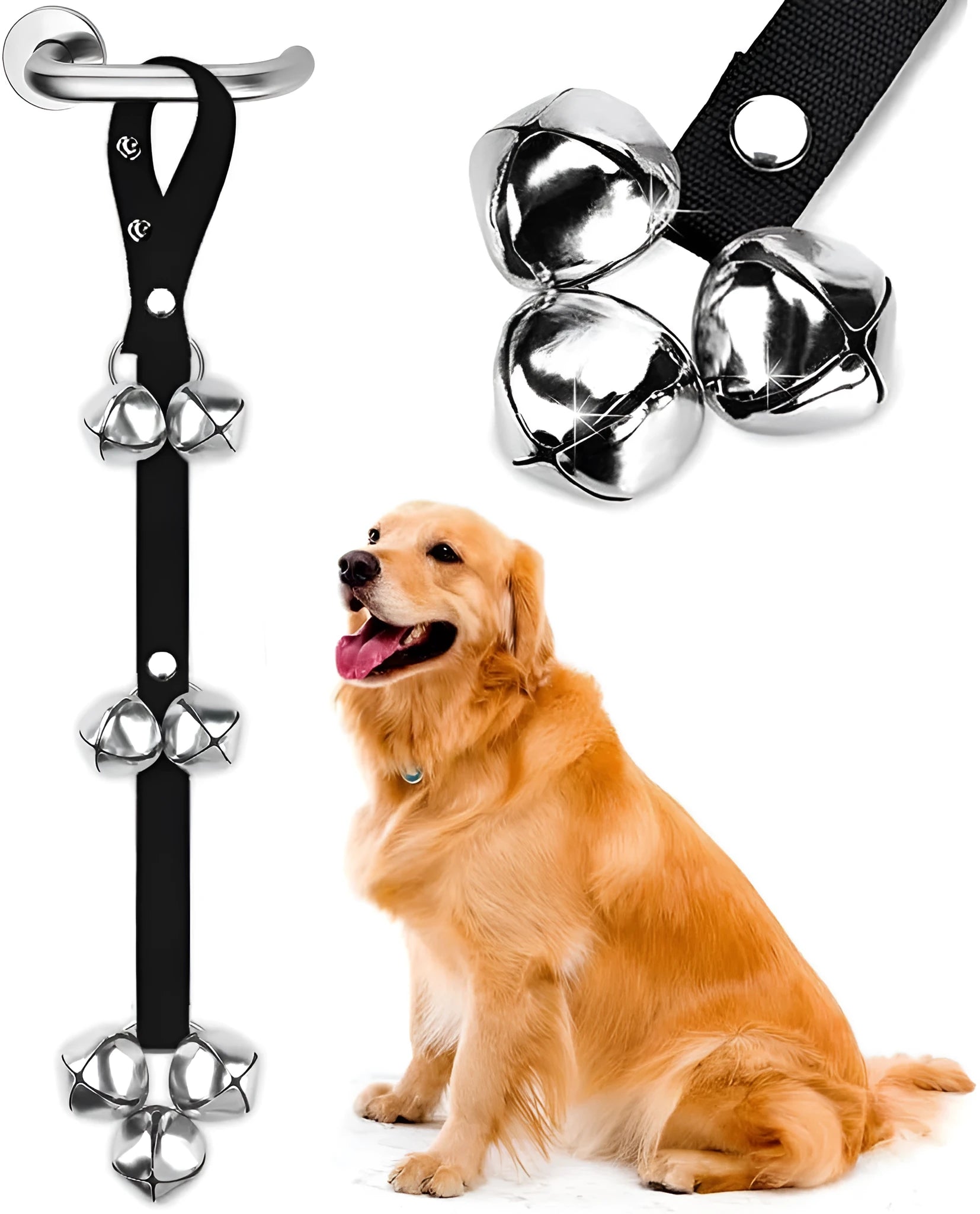 Seven large silver metal dog training bells on adjustable nylon leash for potty signal communication