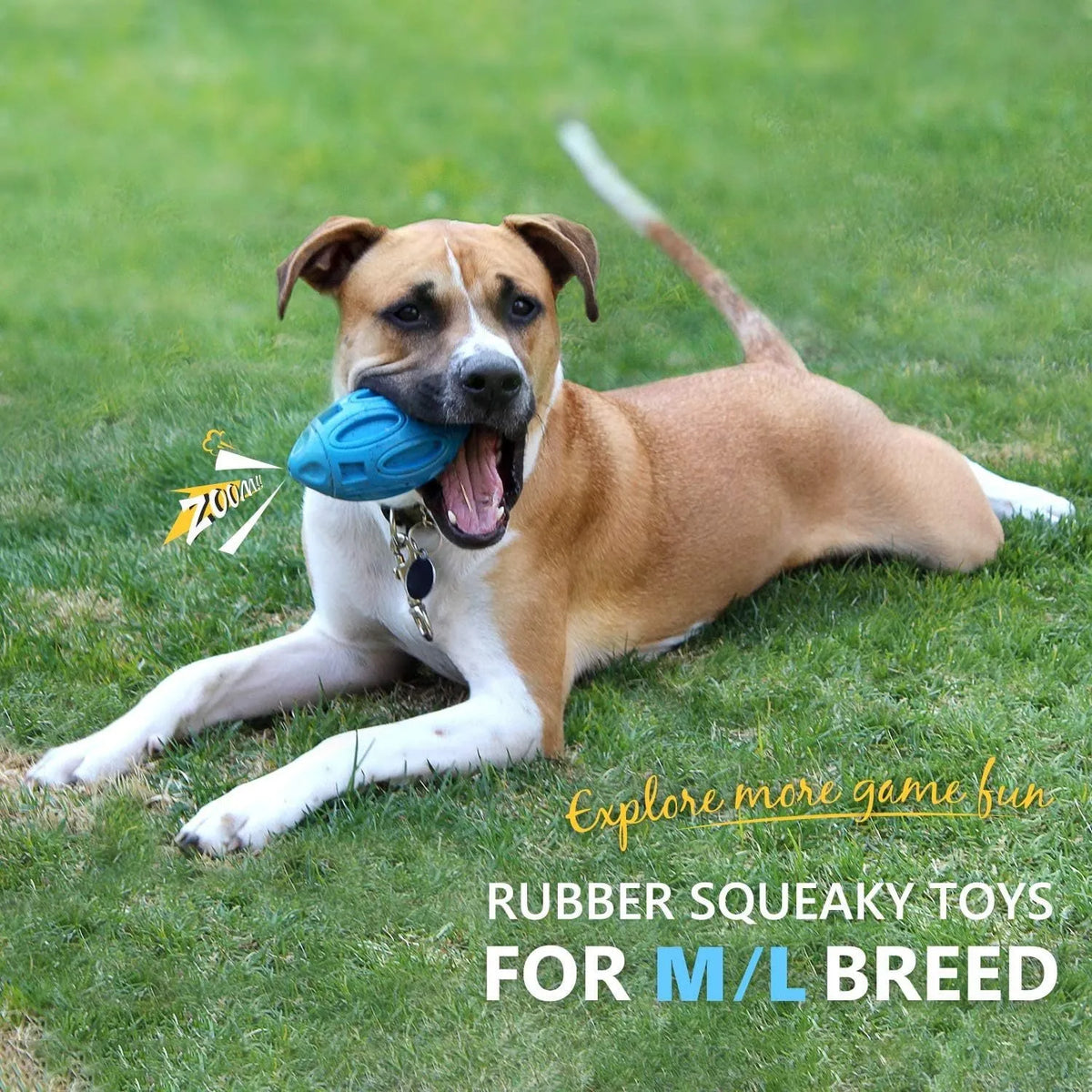 Blue natural rubber squeaky dog toy with textured surface for medium and large breeds