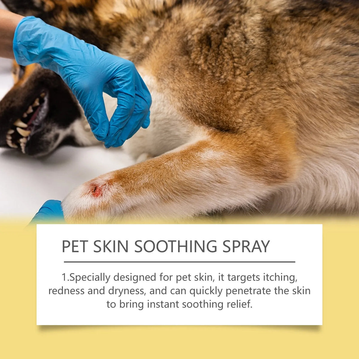 50ml pet skin care spray bottle with tea tree oil, lavender oil, glycerin, and silver ion for dogs and cats