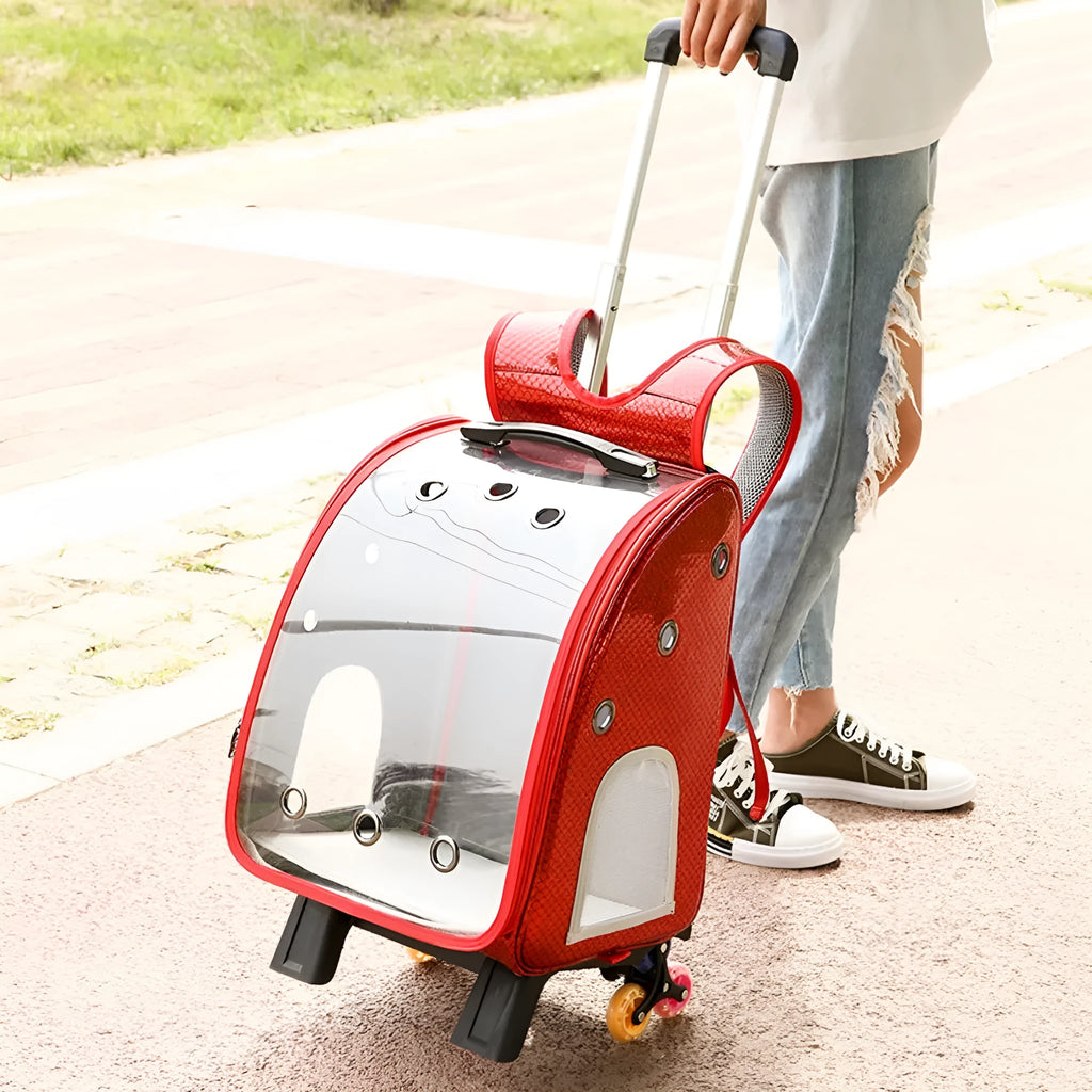 Transparent folding pet trolley with shoulder strap in blue colour for small dog transport