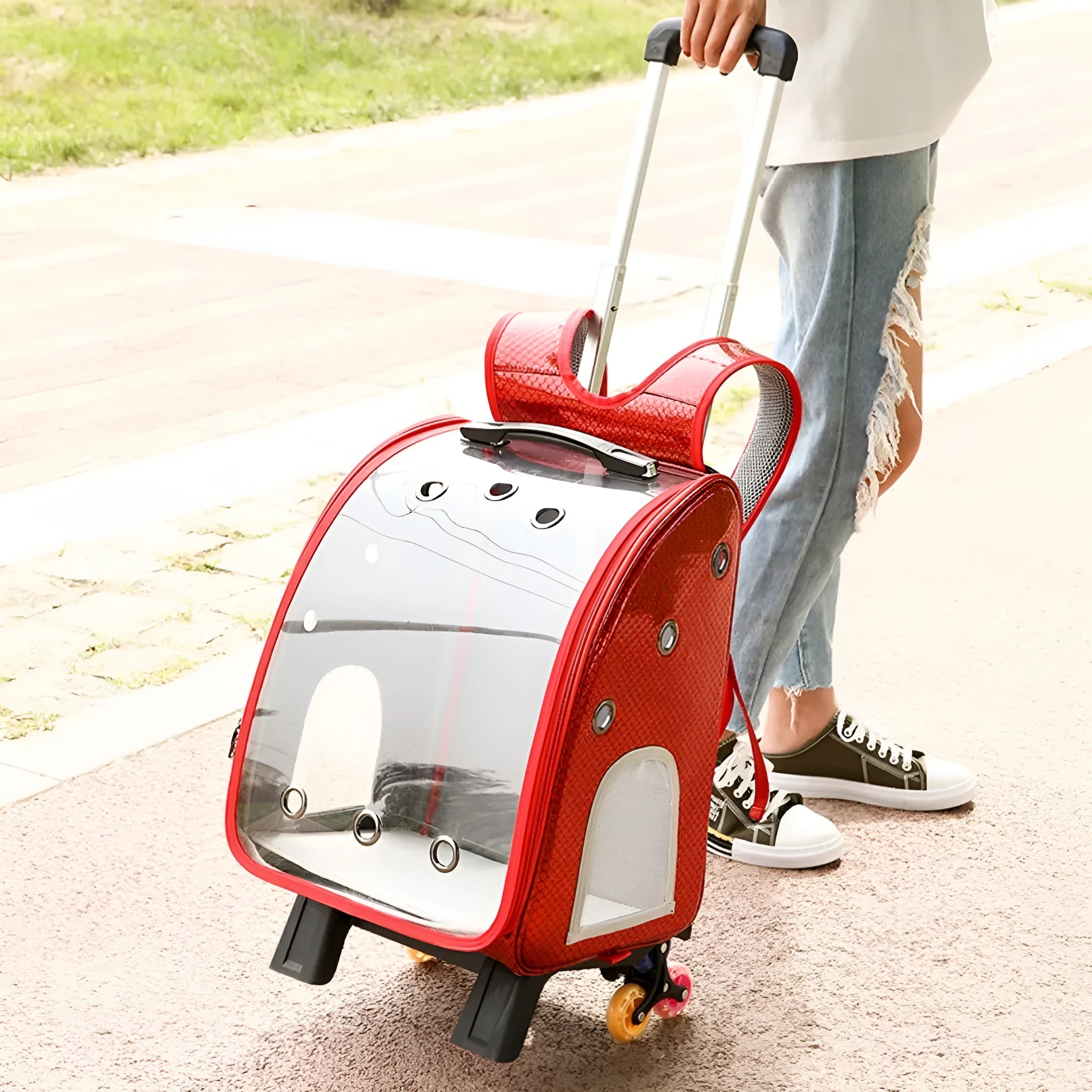 Transparent folding pet trolley with shoulder strap in blue colour for small dog transport