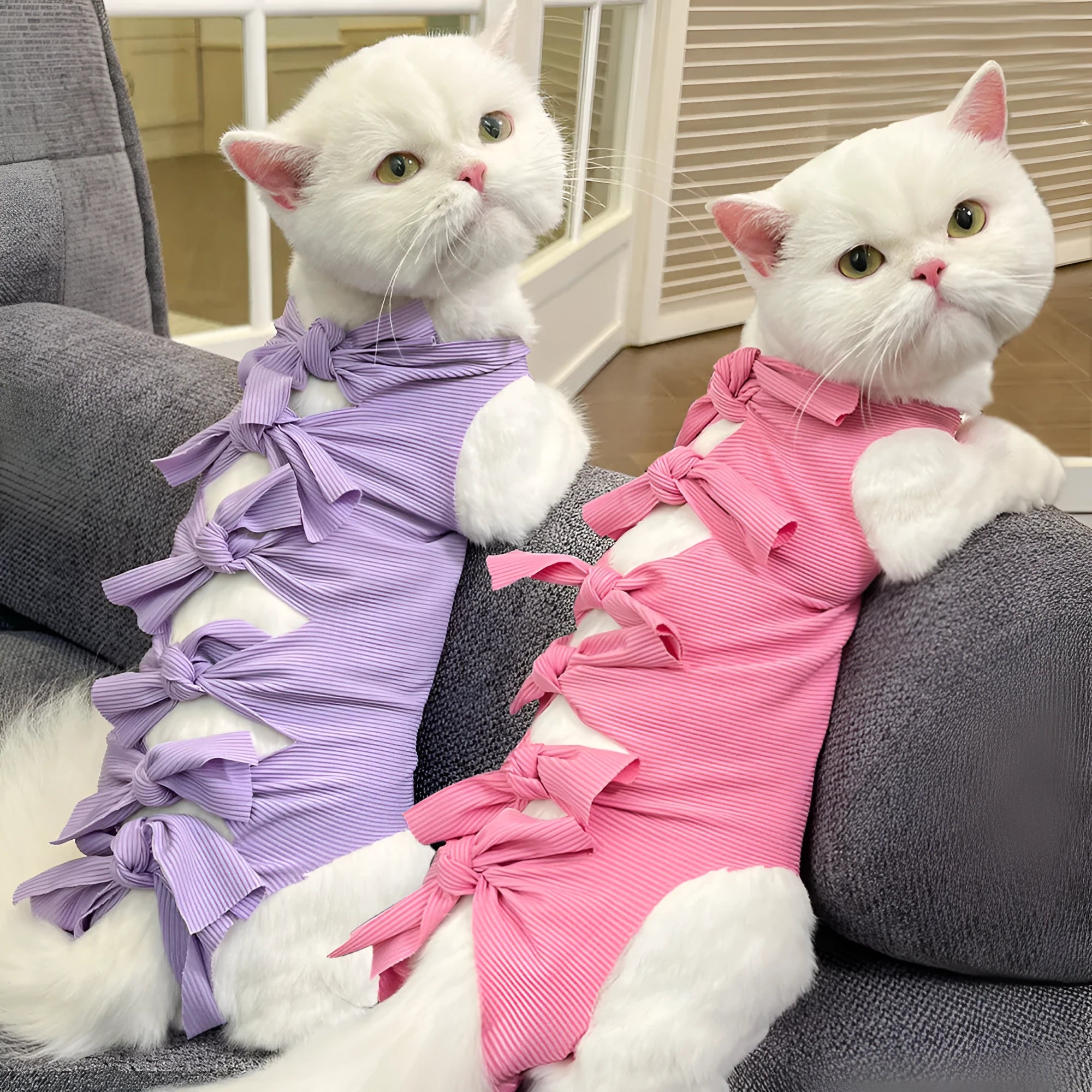 Lace-up cat sterilisation recovery suit in polyester with adjustable fastenings for post-operative wound protection