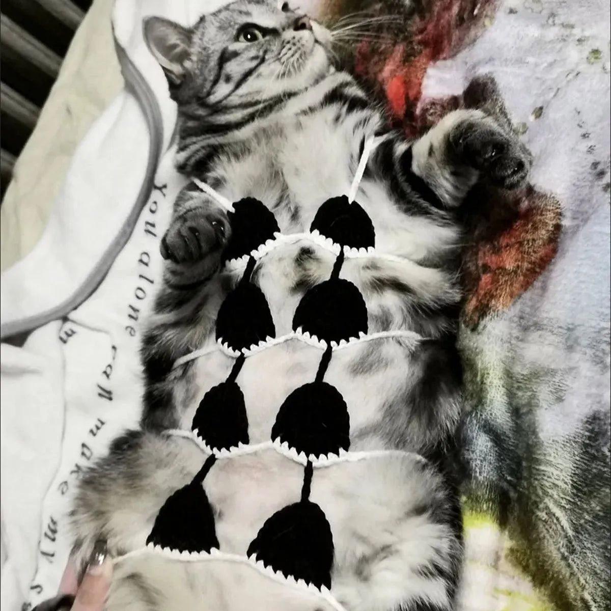 Cat wearing colourful bikini costume set for Halloween or party events