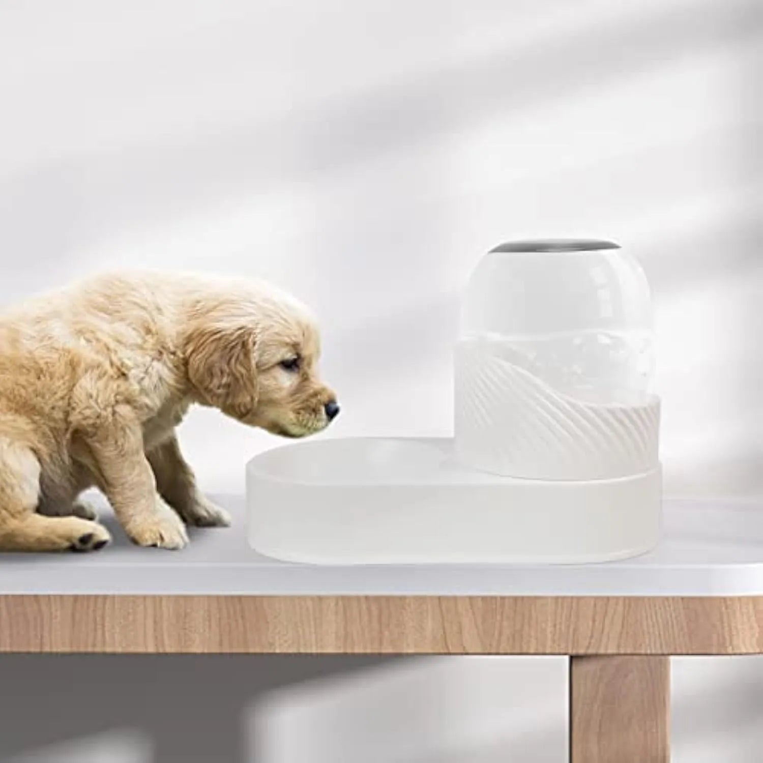 Pure white automatic cat food and water dispenser set with wave-shaped design on a countertop.