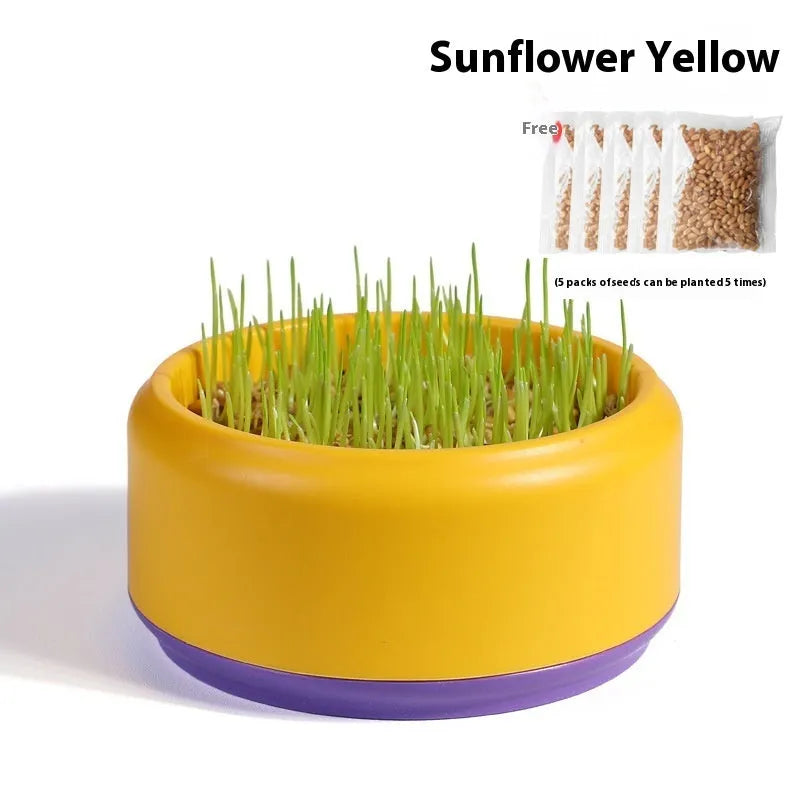 Blue, green, and yellow soilless hydroponic cat grass growing kits with seed packets
