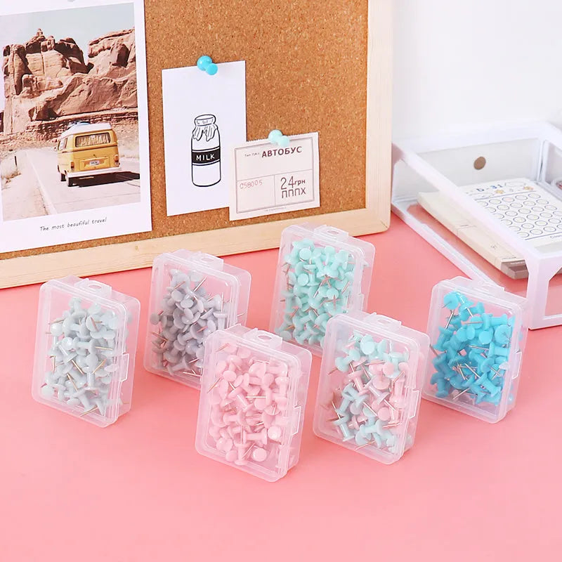 Assorted Morandi colour pushpins in green, grey, and pink with button, star, and push-button head styles