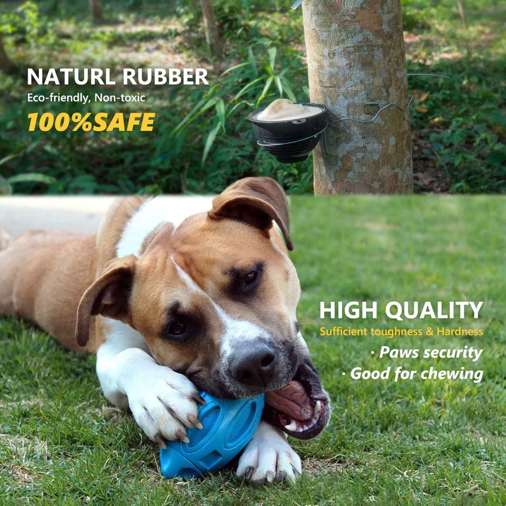 Blue natural rubber squeaky dog toy with textured surface for medium and large breeds