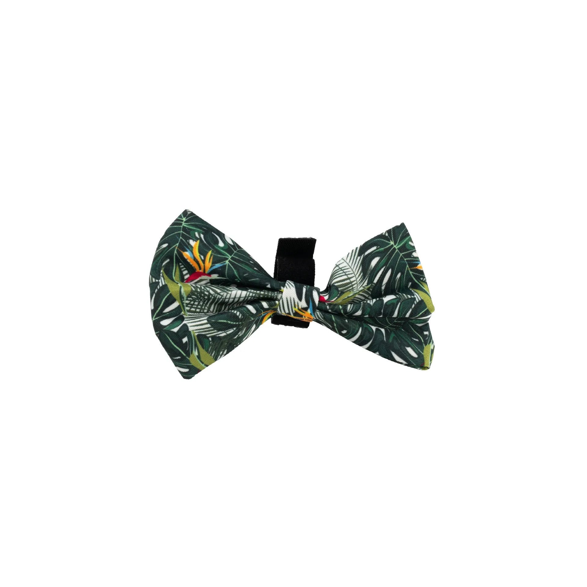 Six-piece dog harness set showing cloth vest, leash, collar, waste bag, bow tie, and scarf laid out