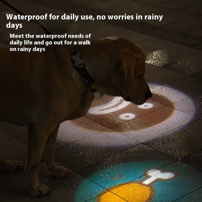 Pet luminous hanging lamp ring collar attachment for dogs in four colour options on a dark background.