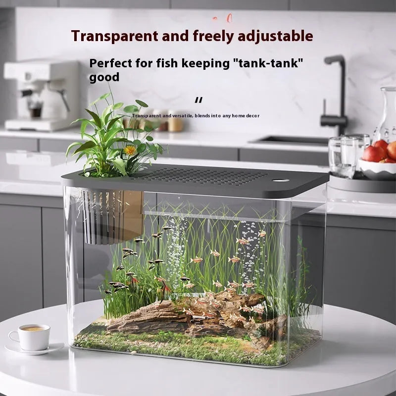 Medium plastic betta fish tank with cover in black or white colour measuring 32x18.5x23cm