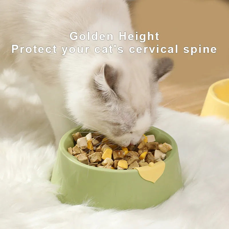 Green plastic pet bowl with dual compartments for food and water, anti-tipping design