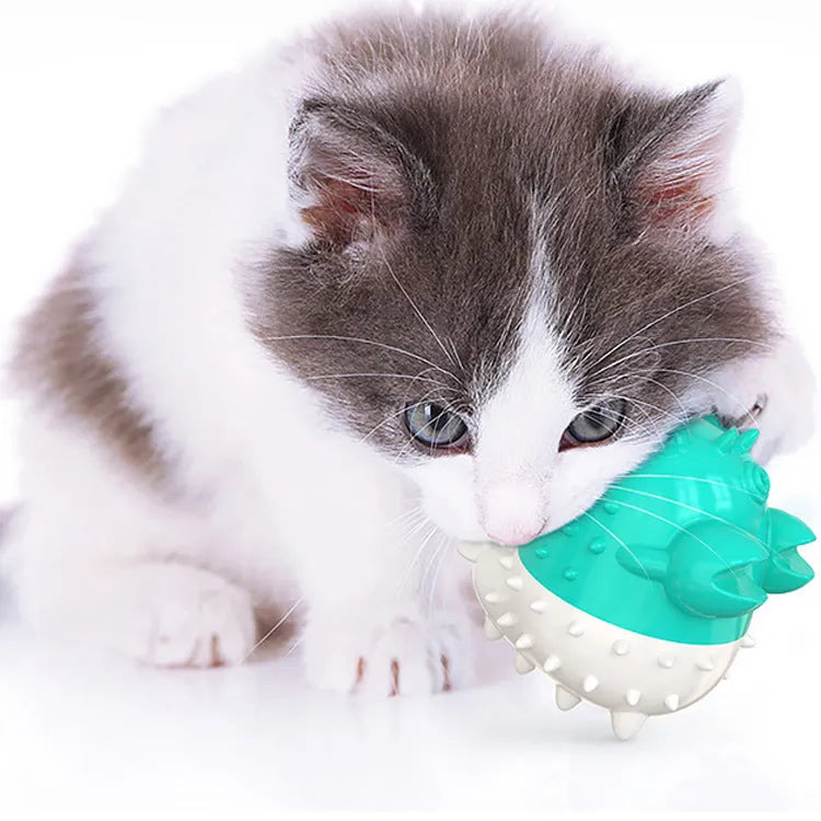 Electric vibration cat gnawing toy in TPR with USB charging, 360-degree enclosure, Blue Green Yellow options, 0.11KG