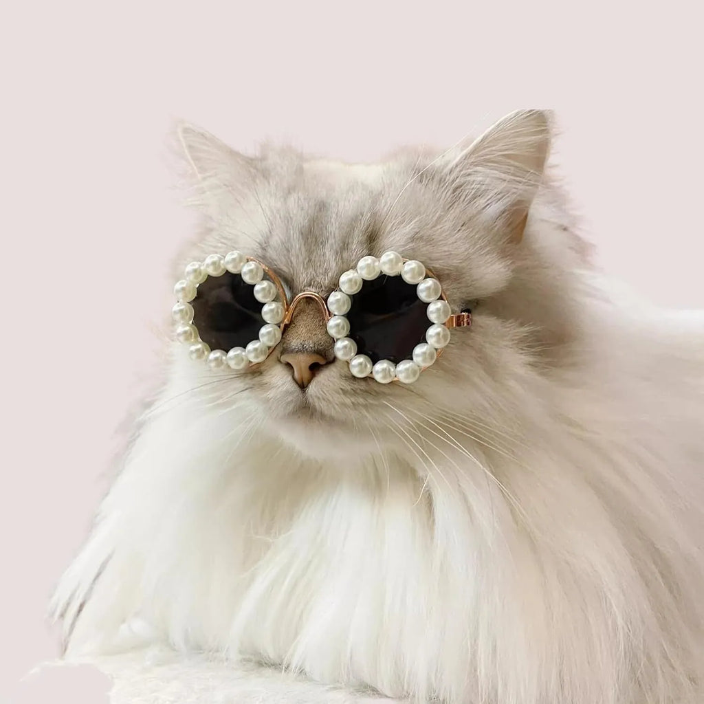 Round pearl sunglasses for a cat or dog, shown in blue on a neutral background.