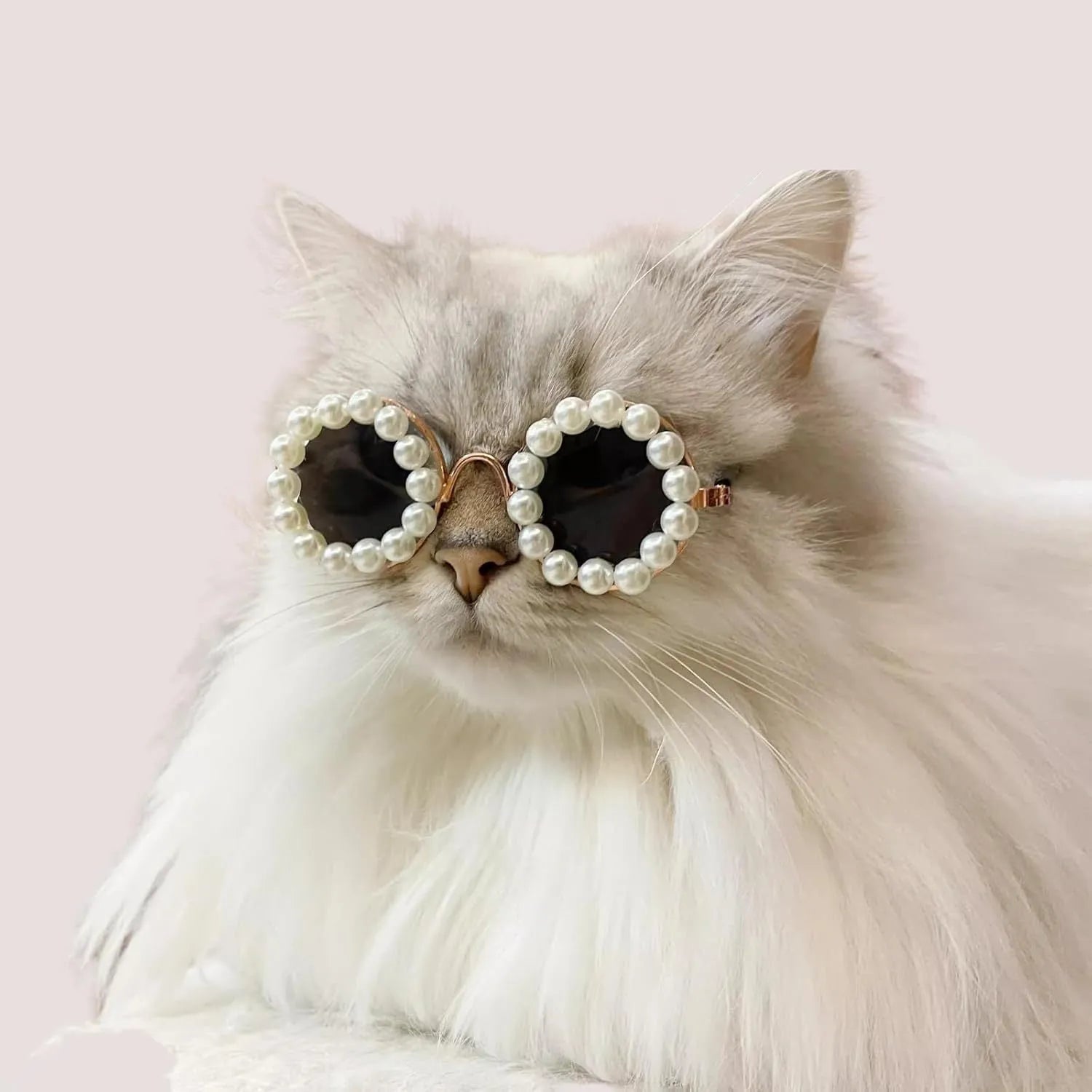 Round pearl sunglasses for a cat or dog, shown in blue on a neutral background.