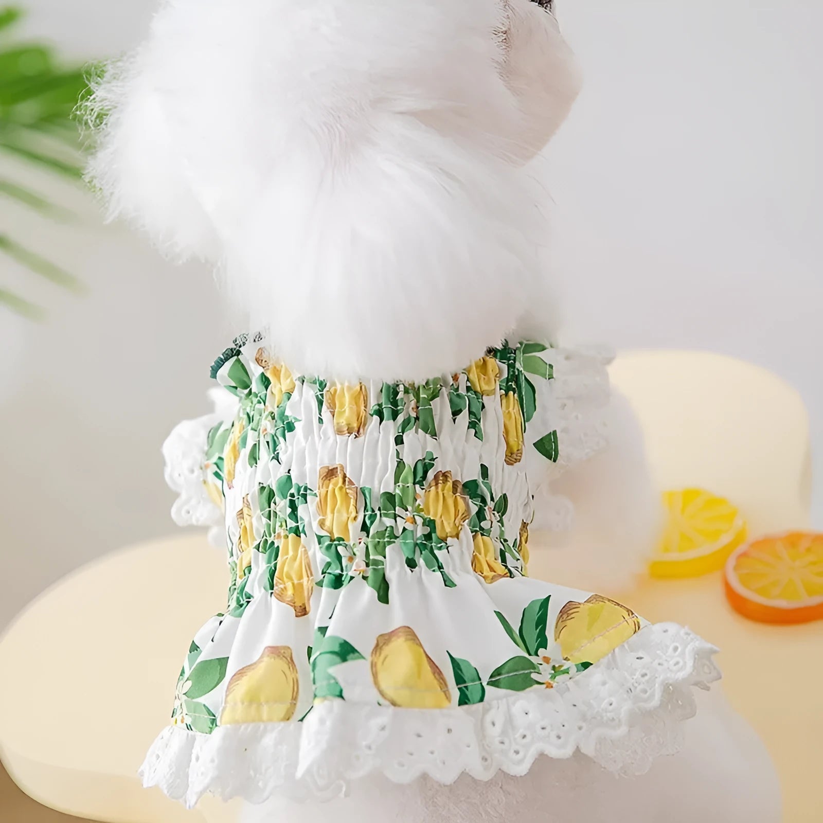 Rock yellow lemon polyester princess-style dog skirt dress with thin breathable fabric and straps.
