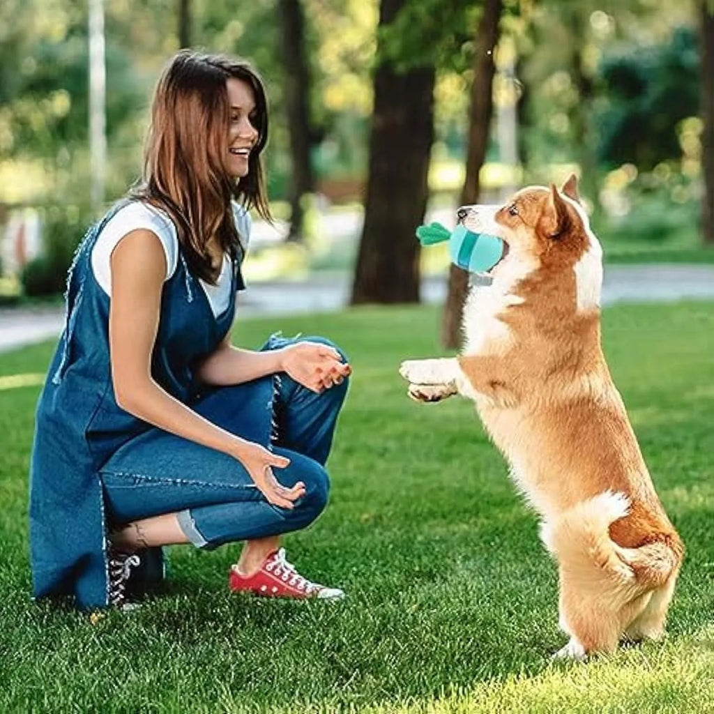 Blue and green durable rubber treat dispensing dog ball for medium and large dogs