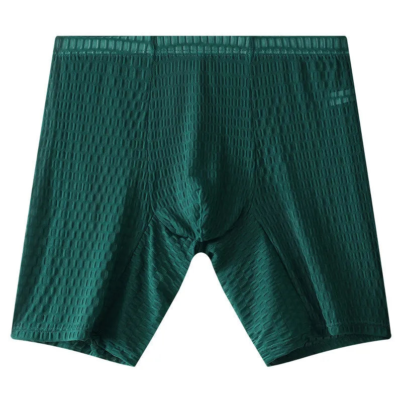 Men's lengthened lace boxer shorts in transparent nylon construction showing shaping design