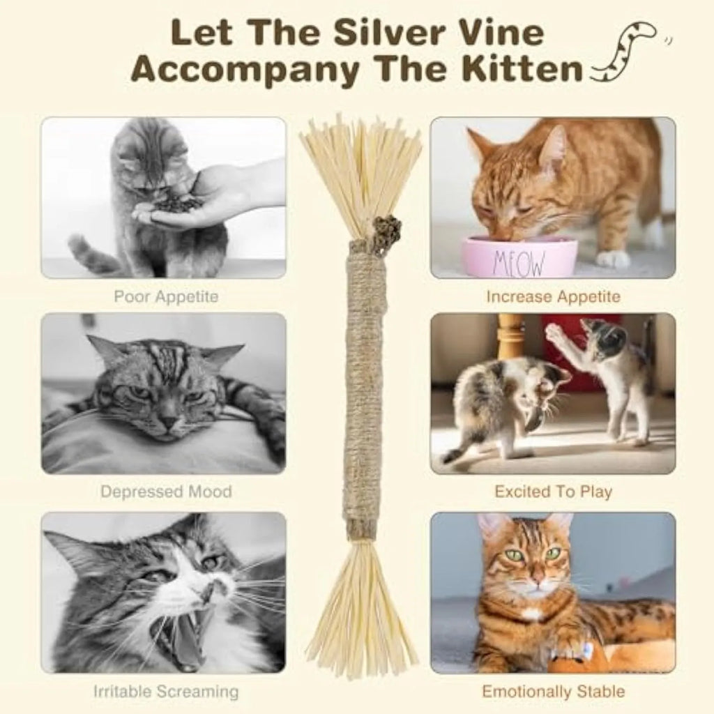Pack of natural silvervine chew sticks for cats on a wooden surface, showing fine and thick diameter options.