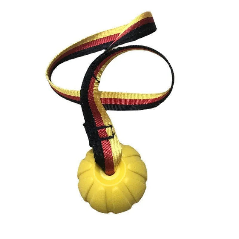 Floating water bite-resistant pet training ball in camouflage and yellow colours showing three size options