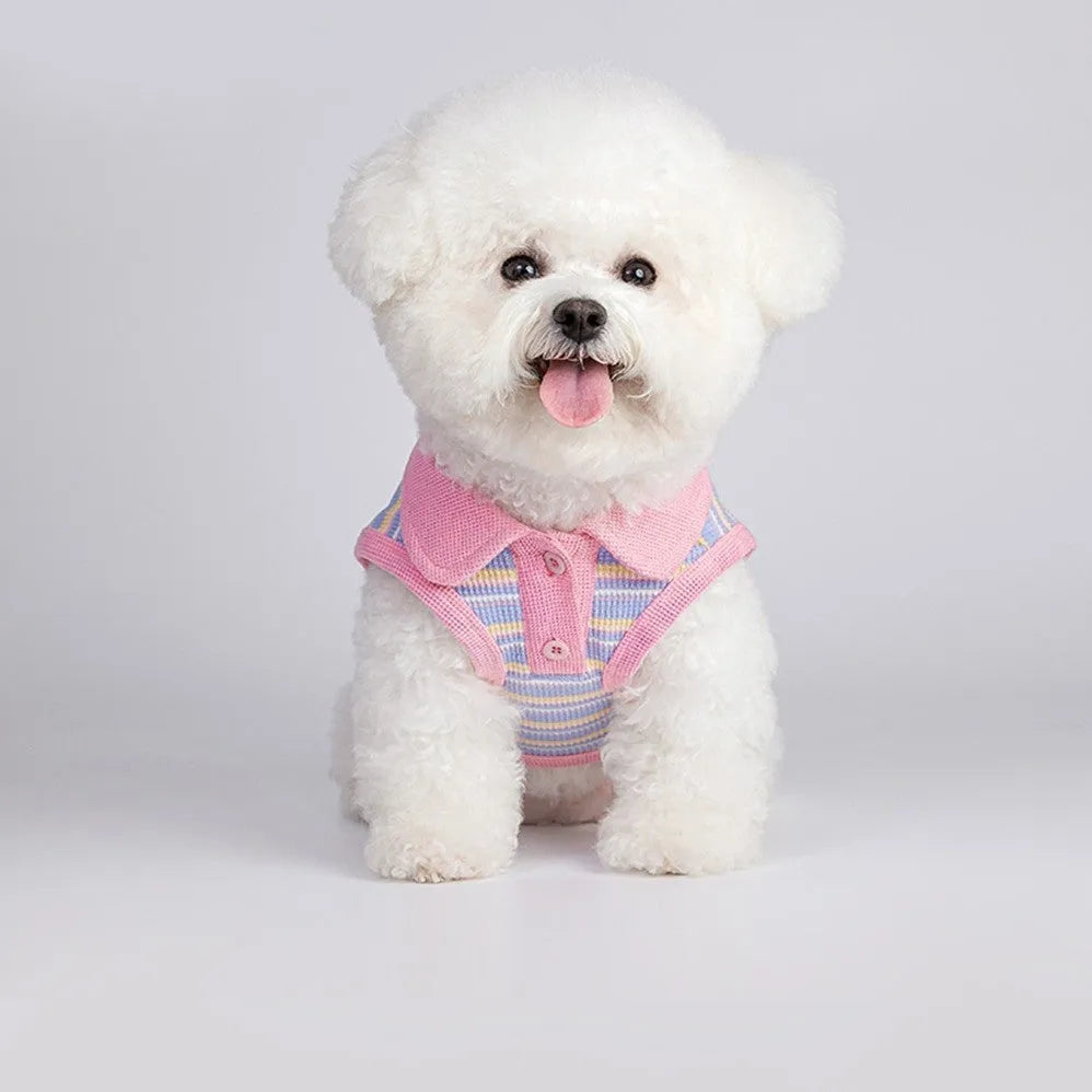 Pink purple autumn vest for a small dog on a mannequin, showing lightweight design.