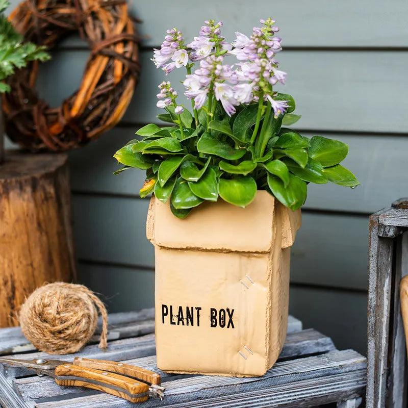 Nordic-style cement brown paper box flowerpot for indoor planting on a floor.