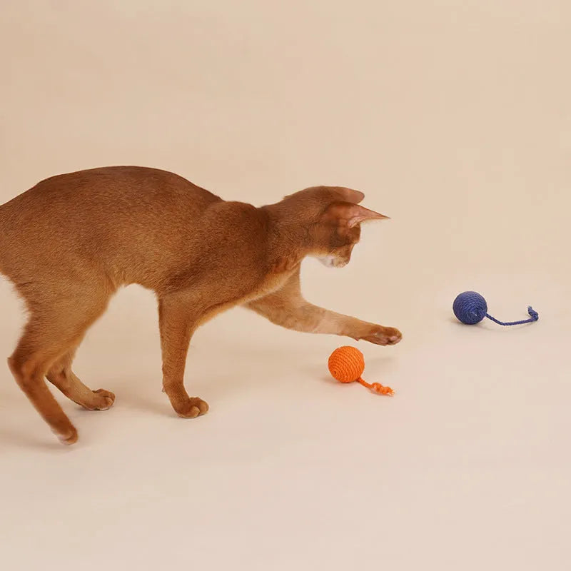Cat toy set with teaser stick and colourful catnip balls on blue background