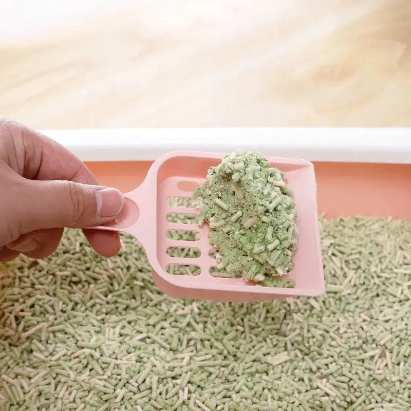 Blue plastic cat litter scoop on a white background, showing its 20cm length and scoop shape.