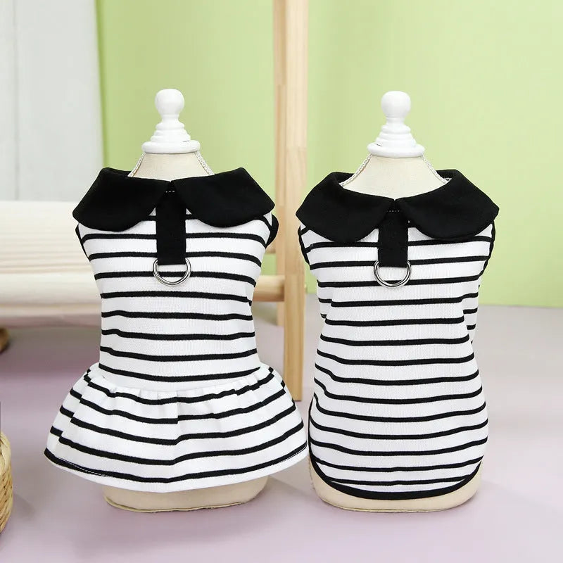 Pet dog wearing cotton stripes T-shirt and matching skirt summer outfit set