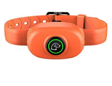Black remote dog training collar with transmitter and adjustable strap on a grey background.