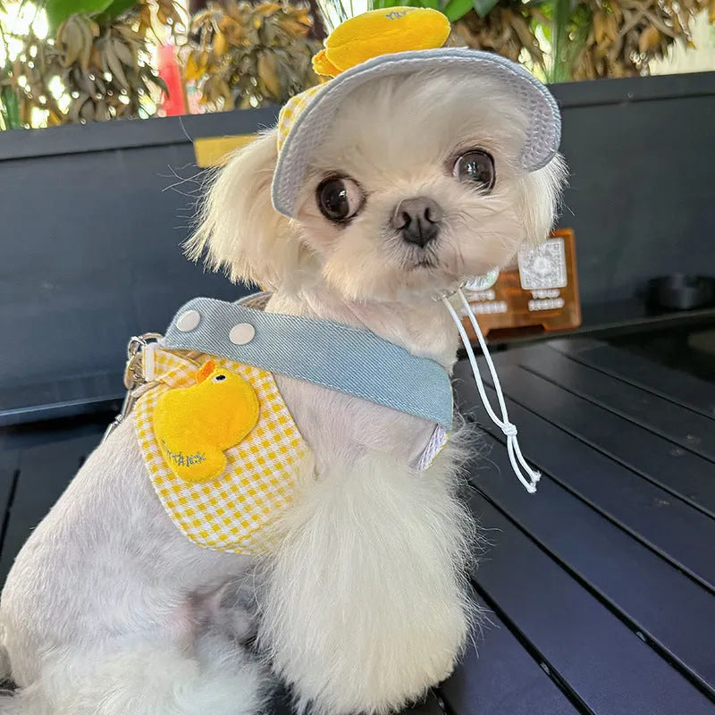 Pet harness and leash set with wire rope pulling rope and three-piece outfit including cute hat
