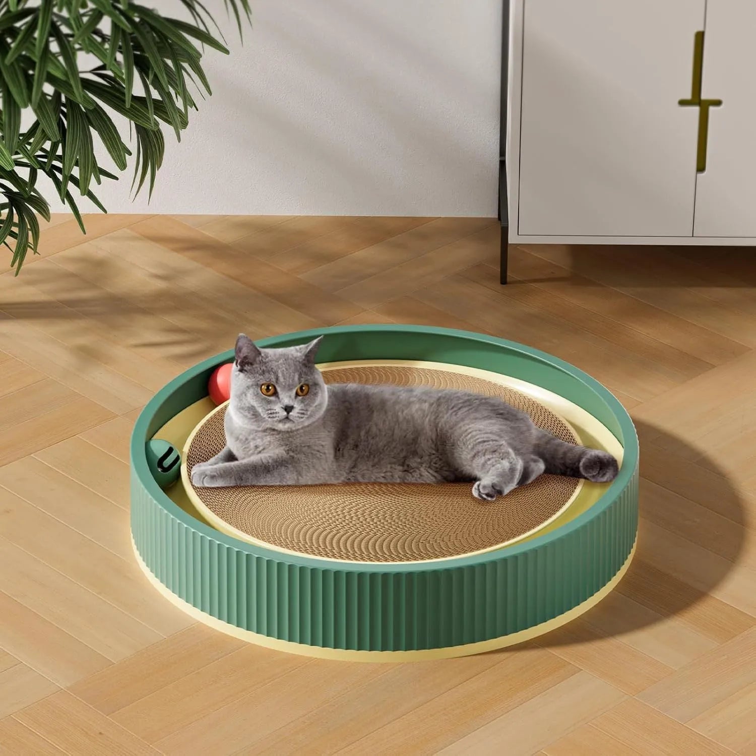 Large circular green cat scratching board with ball toys and a replaceable cardboard core