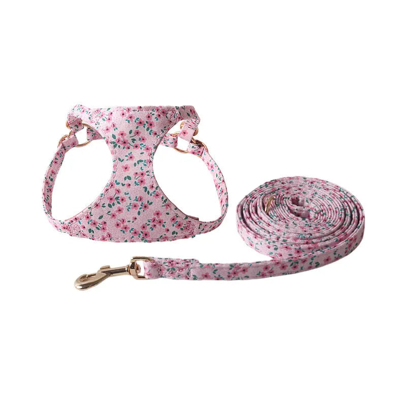 Cloth dog harness and leash set in orange colour on a dog
