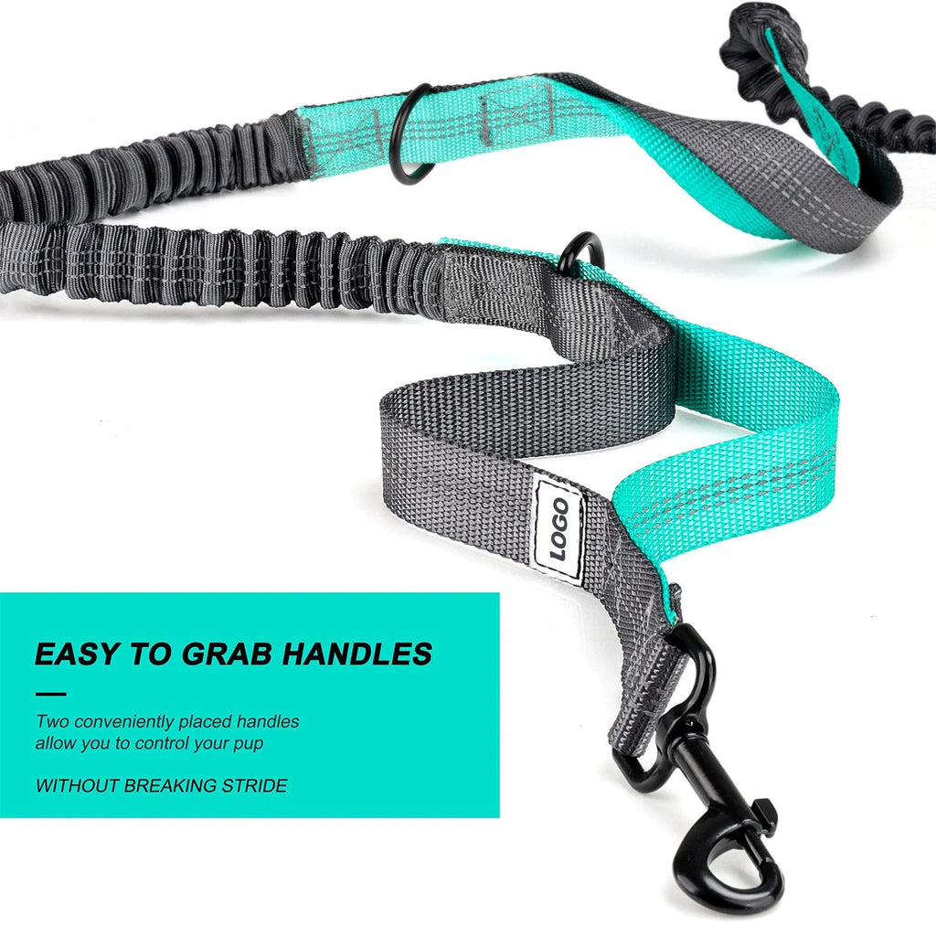 Black nylon dog walking waist bag set with leash and collar for outdoor pet training