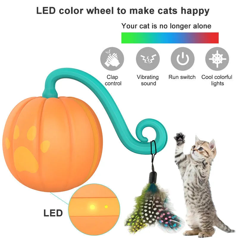 Electric cat toy with luminous rolling ball in pumpkin and watermelon colour designs