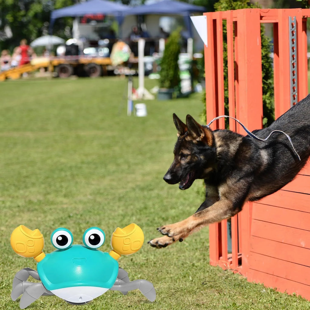 Blue or red electronic crab dog toy with obstacle avoidance sensors, shown moving sideways.