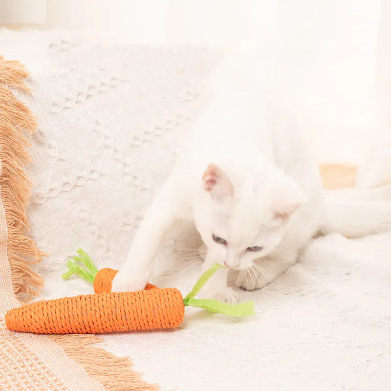 Bundle of cat toys including carrot-shaped chews, crinkly paper rings, and audible ringing stones in multiple sizes