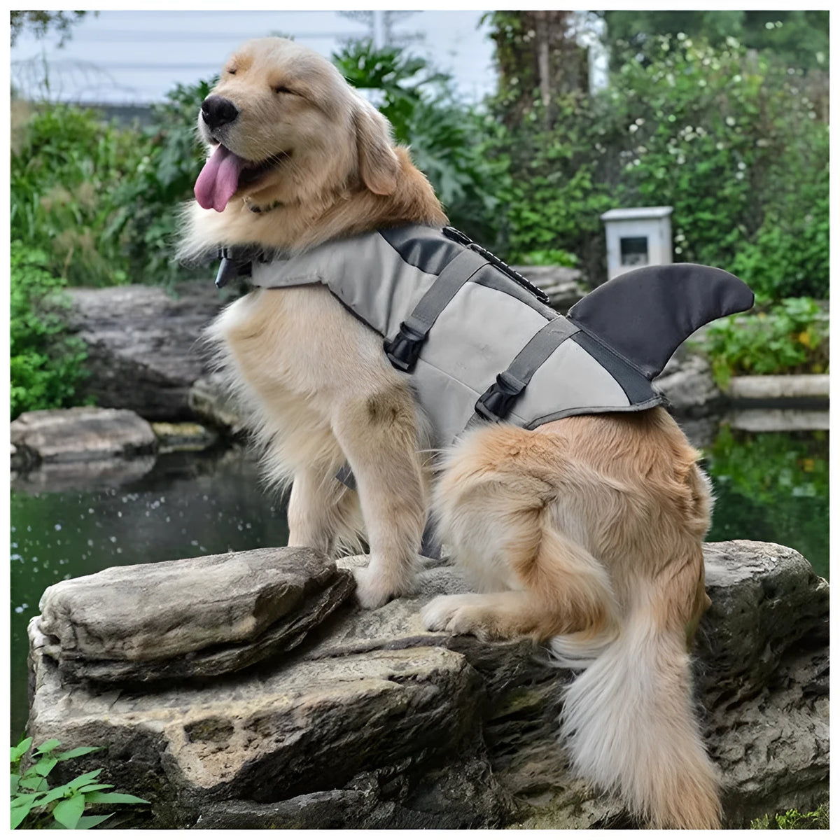 Dog life jacket swimming vest in Oxford cloth and cotton, sizes S M L, shark or mermaid style, dark brown pink red.